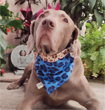 Cargar imagen en el visor de la galería, Bandana "Coffee Leopaw"
