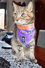 Cargar imagen en el visor de la galería, Bandana "Spooky"
