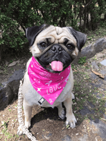 Cargar imagen en el visor de la galería, Bandana "Huellita Rosa"
