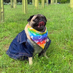Cargar imagen en el visor de la galería, Bandana "Rainbow"
