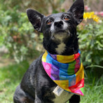 Cargar imagen en el visor de la galería, Bandana "Colorful"
