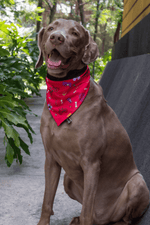 Cargar imagen en el visor de la galería, Bandana "Weirdy"
