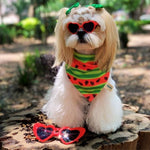 Cargar imagen en el visor de la galería, Bandana "Sandía"
