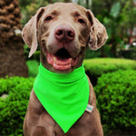 Cargar imagen en el visor de la galería, Bandana "Verde Neony"
